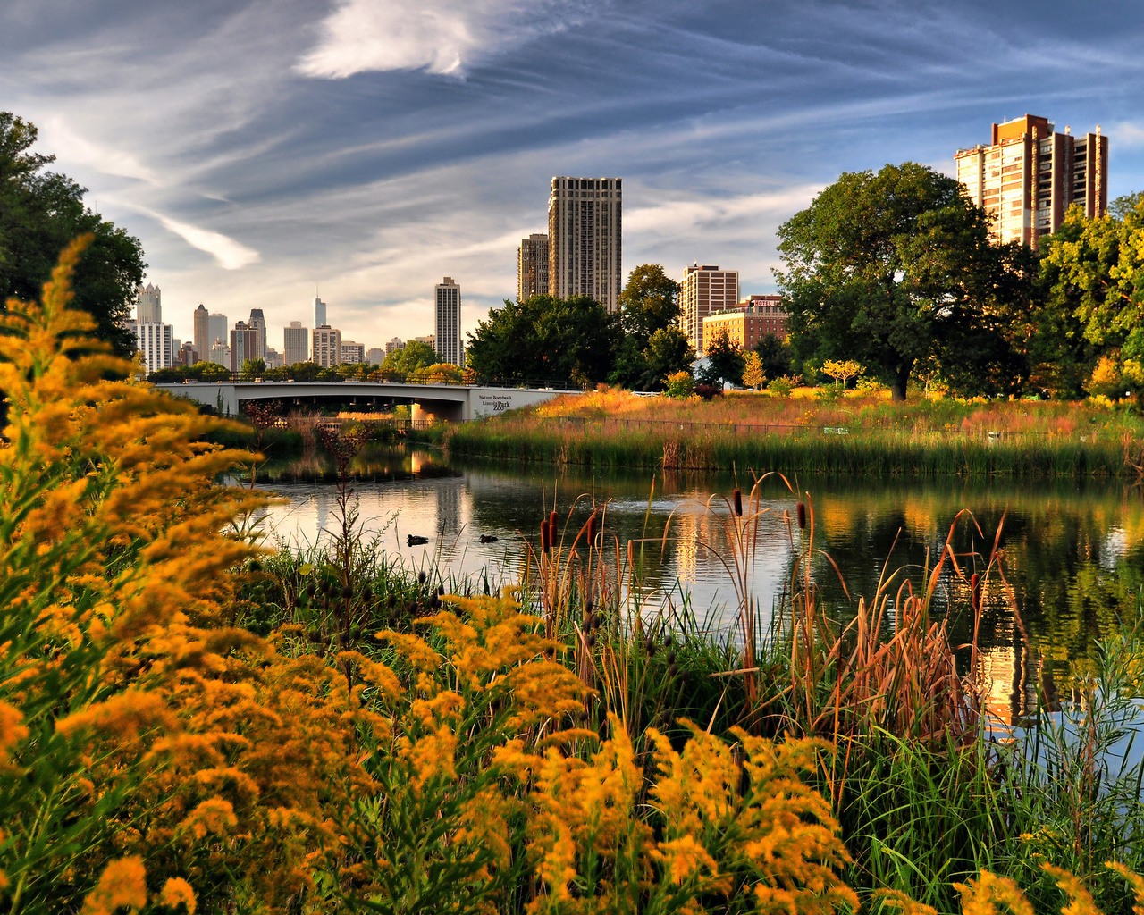 lincoln park, chicago, , , 