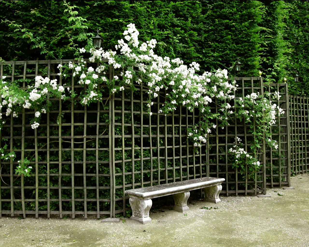 nature, park, garden, flowers, bench, , , , , 