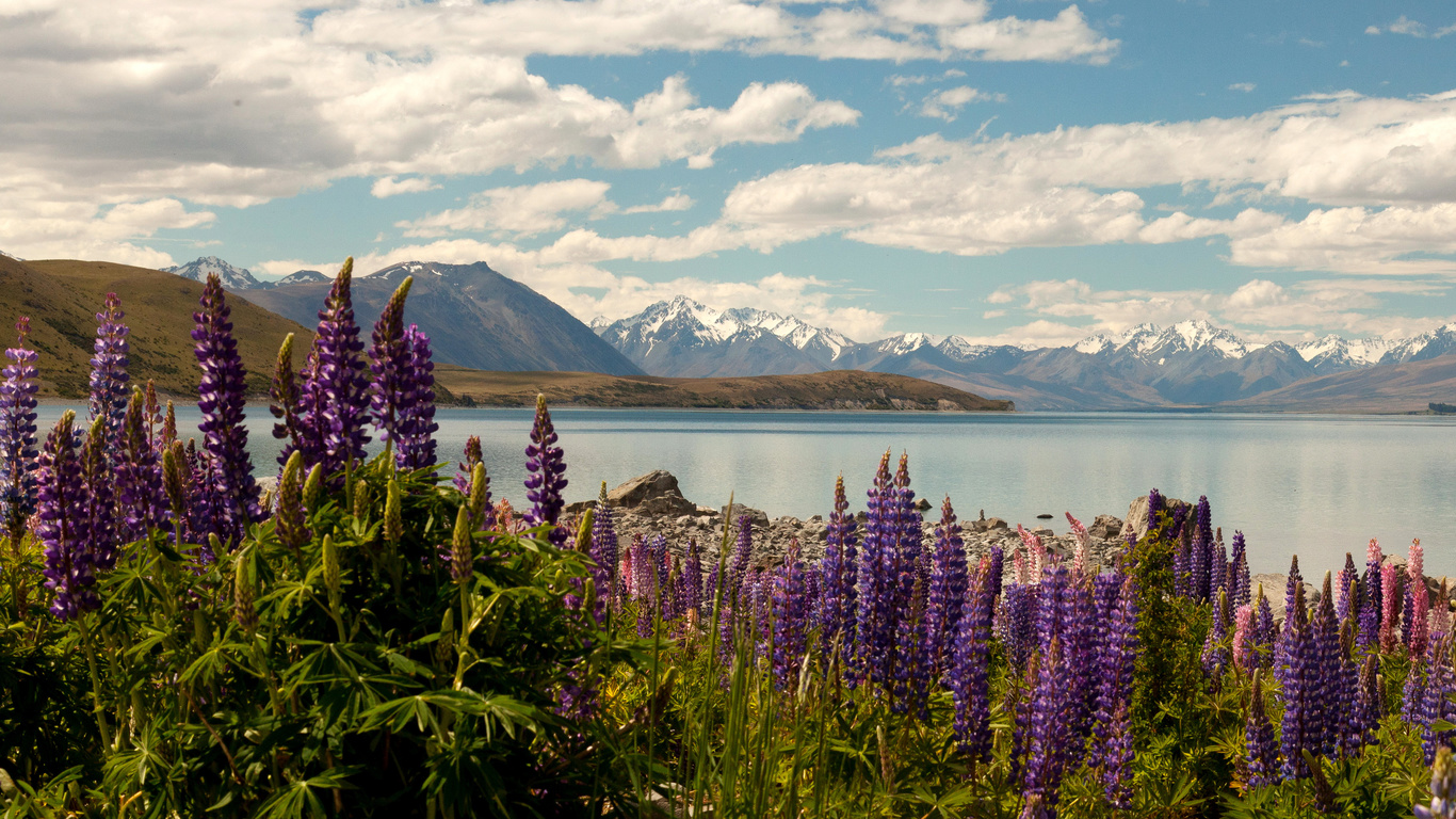  , , , , lake tekapo, , , , 