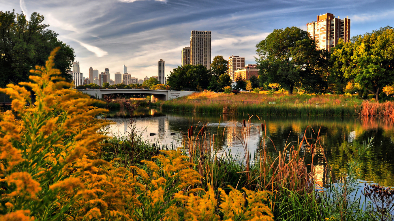 lincoln park, chicago, , , 