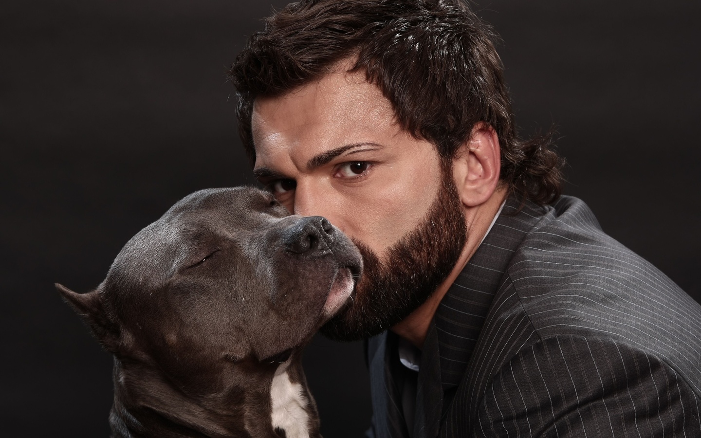 mma, andrei arlovski, fighter, ,  ,  , , the pit bull, mixed martial arts, , 