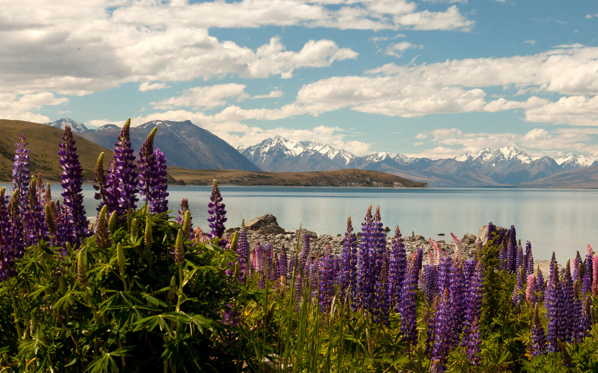  , , , , lake tekapo, , , , 