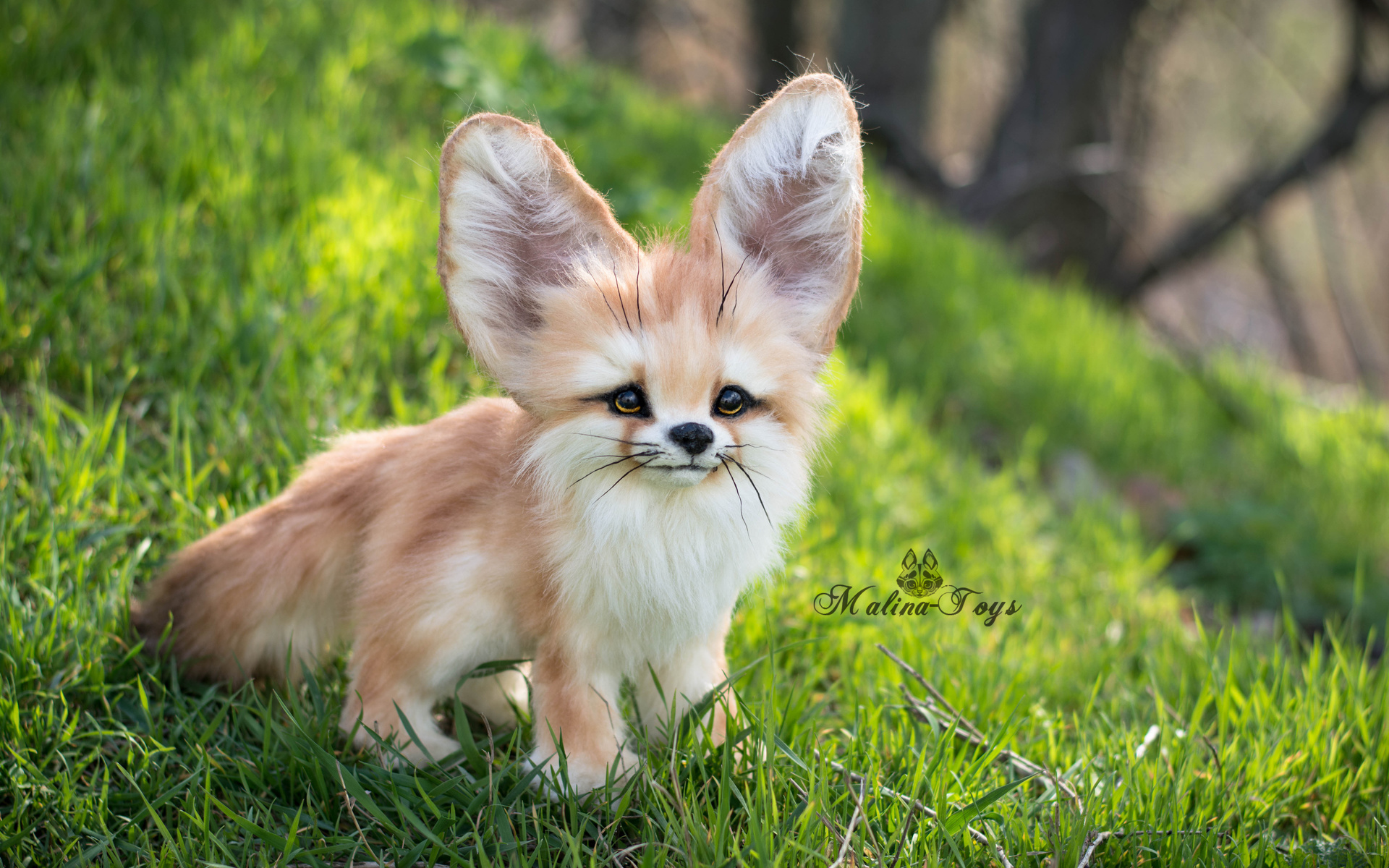 fennec fox, malinatoys, , , 