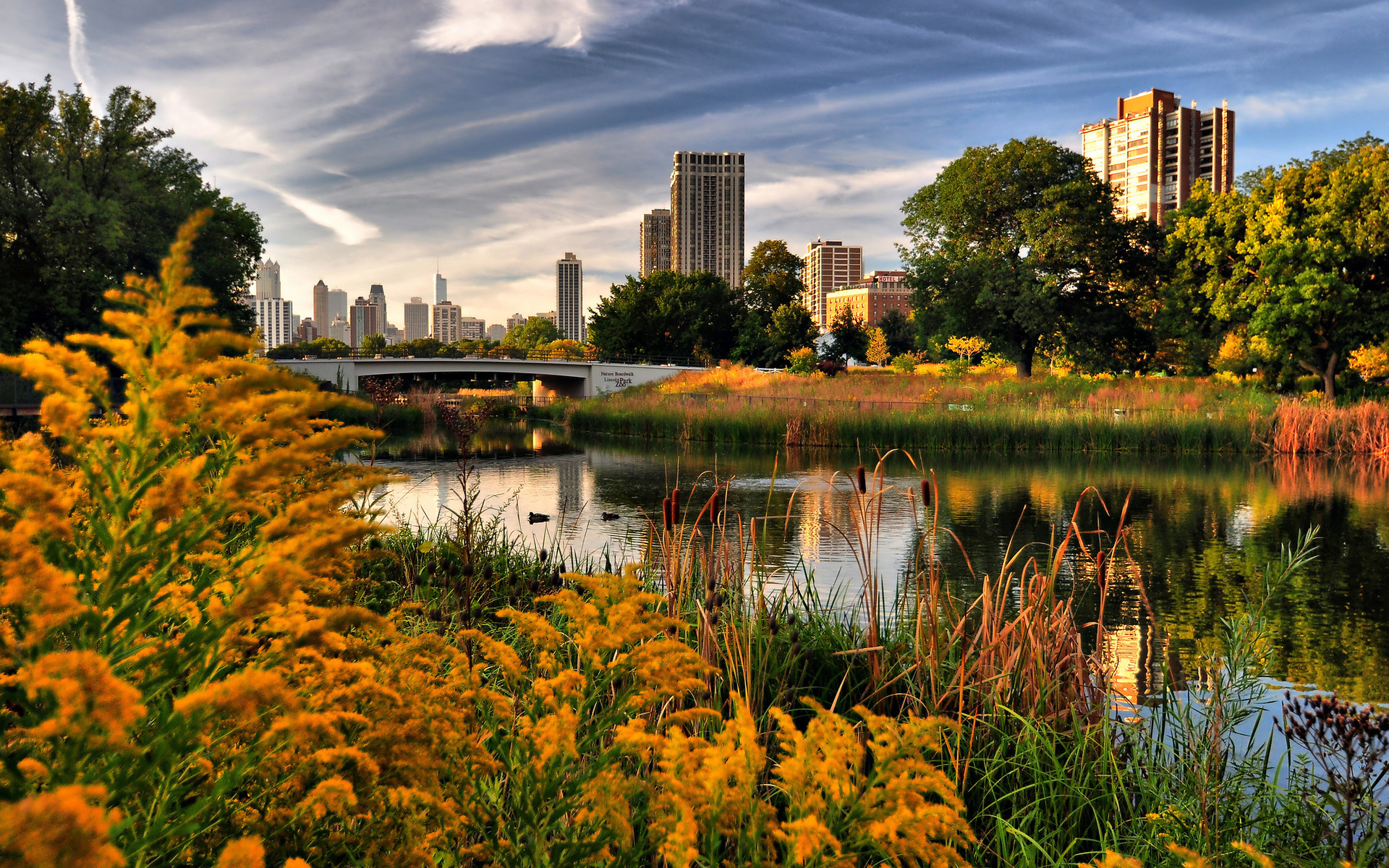 lincoln park, chicago, , , 