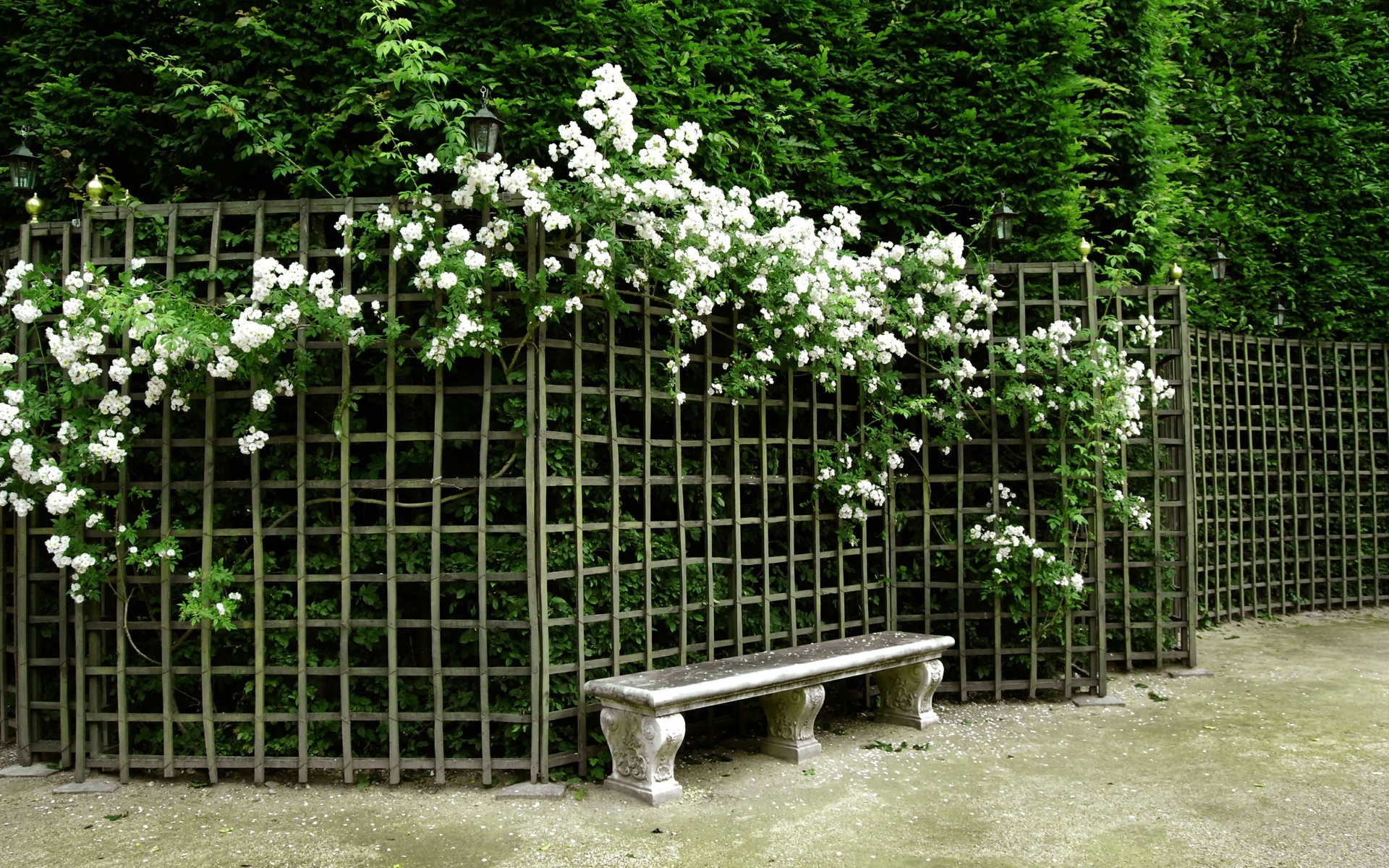 nature, park, garden, flowers, bench, , , , , 