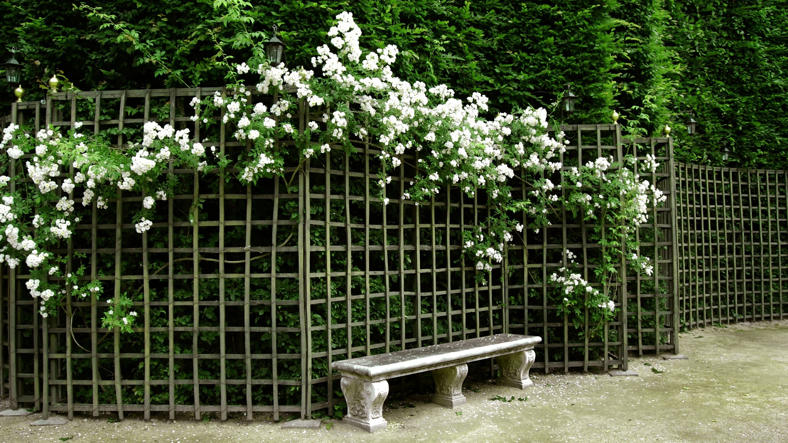 nature, park, garden, flowers, bench, , , , , 