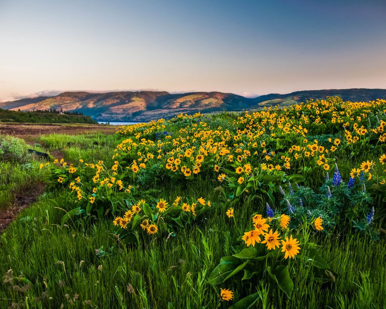 columbia gorge,  , , , , ,,,,,,