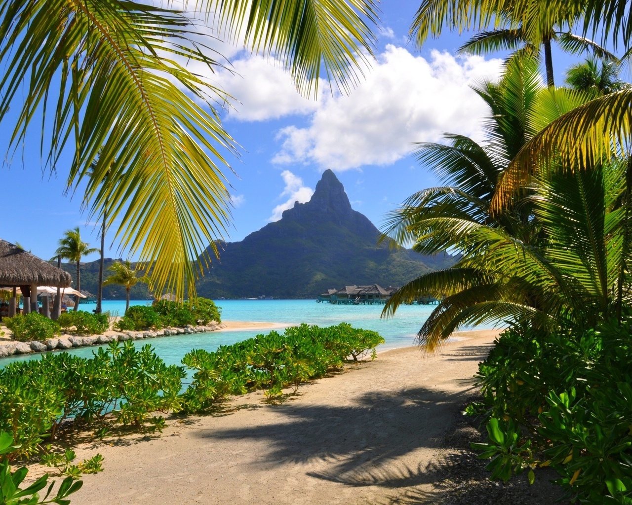 , , bora bora, , , 