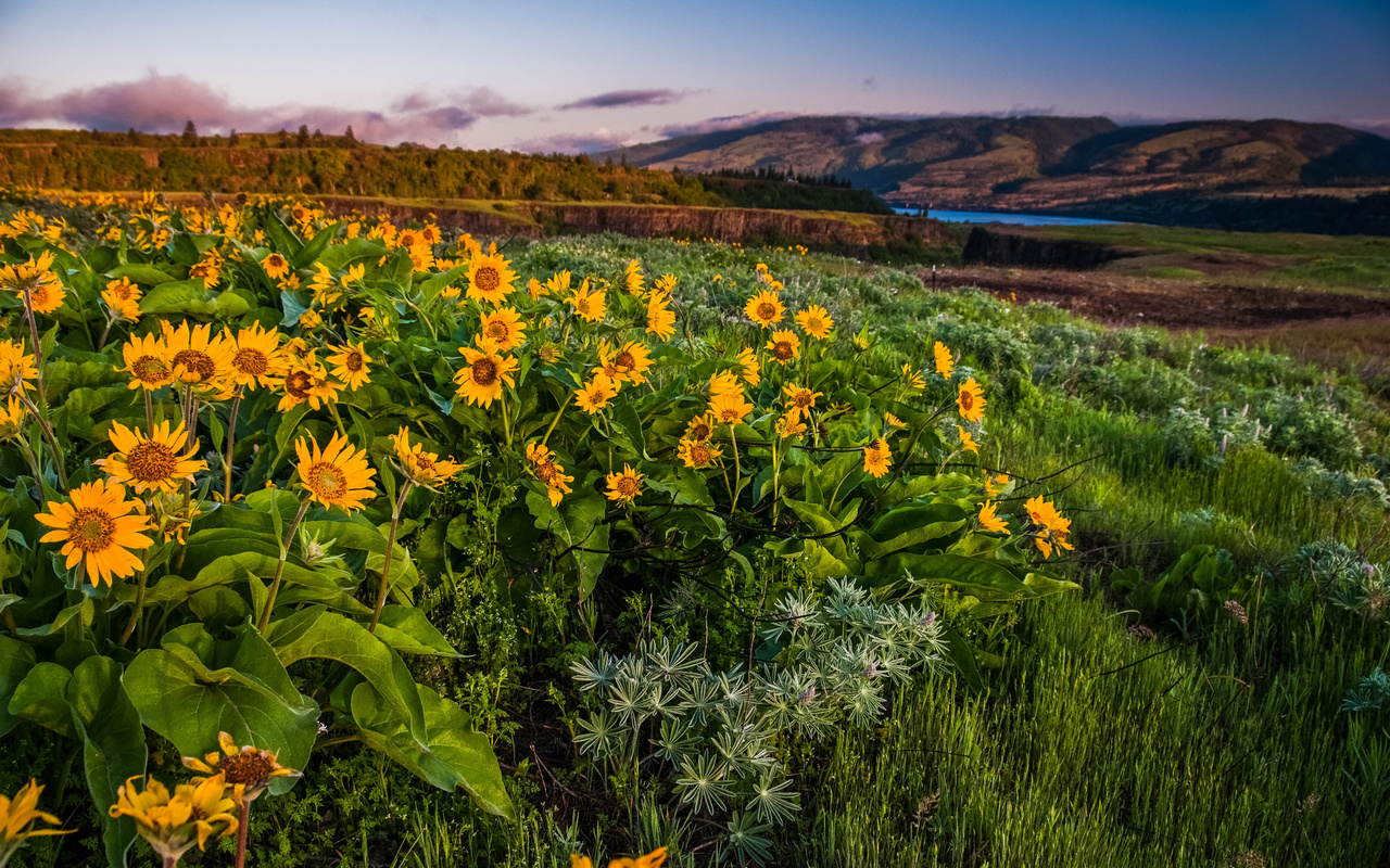 columbia gorge,  , , , 