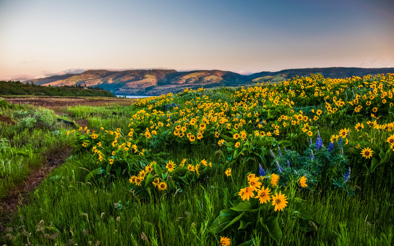 columbia gorge,  , , , , ,,,,,,