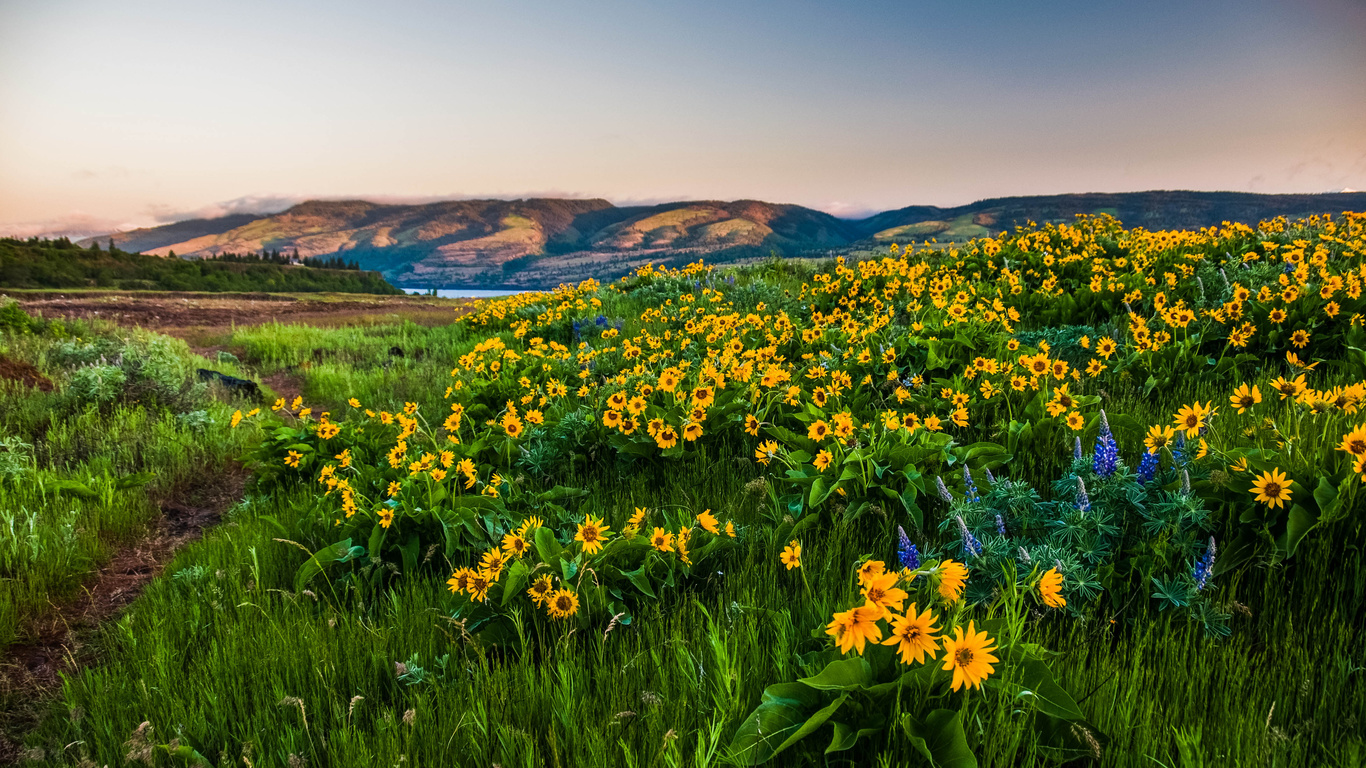 columbia gorge,  , , , , ,,,,,,