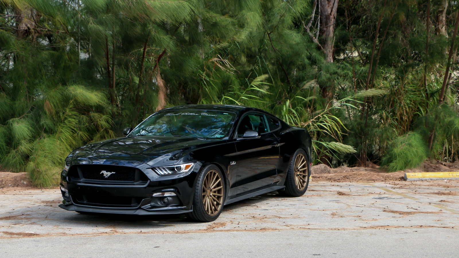 ford, mustang, gt, vossen, vfs2, satin, bronze