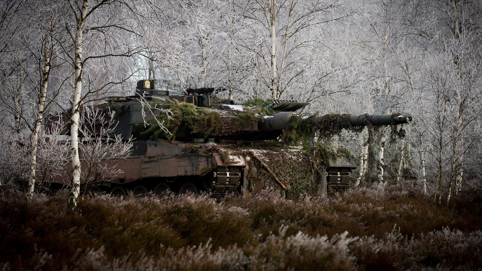 , , ,  2a6m, , , , , leopard 2