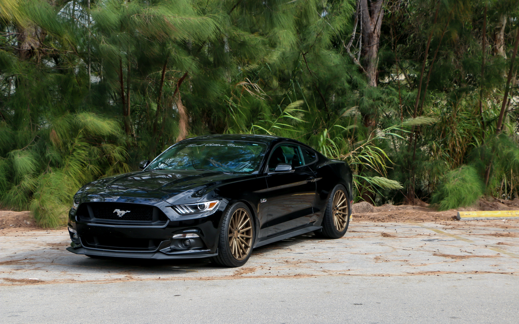 ford, mustang, gt, vossen, vfs2, satin, bronze