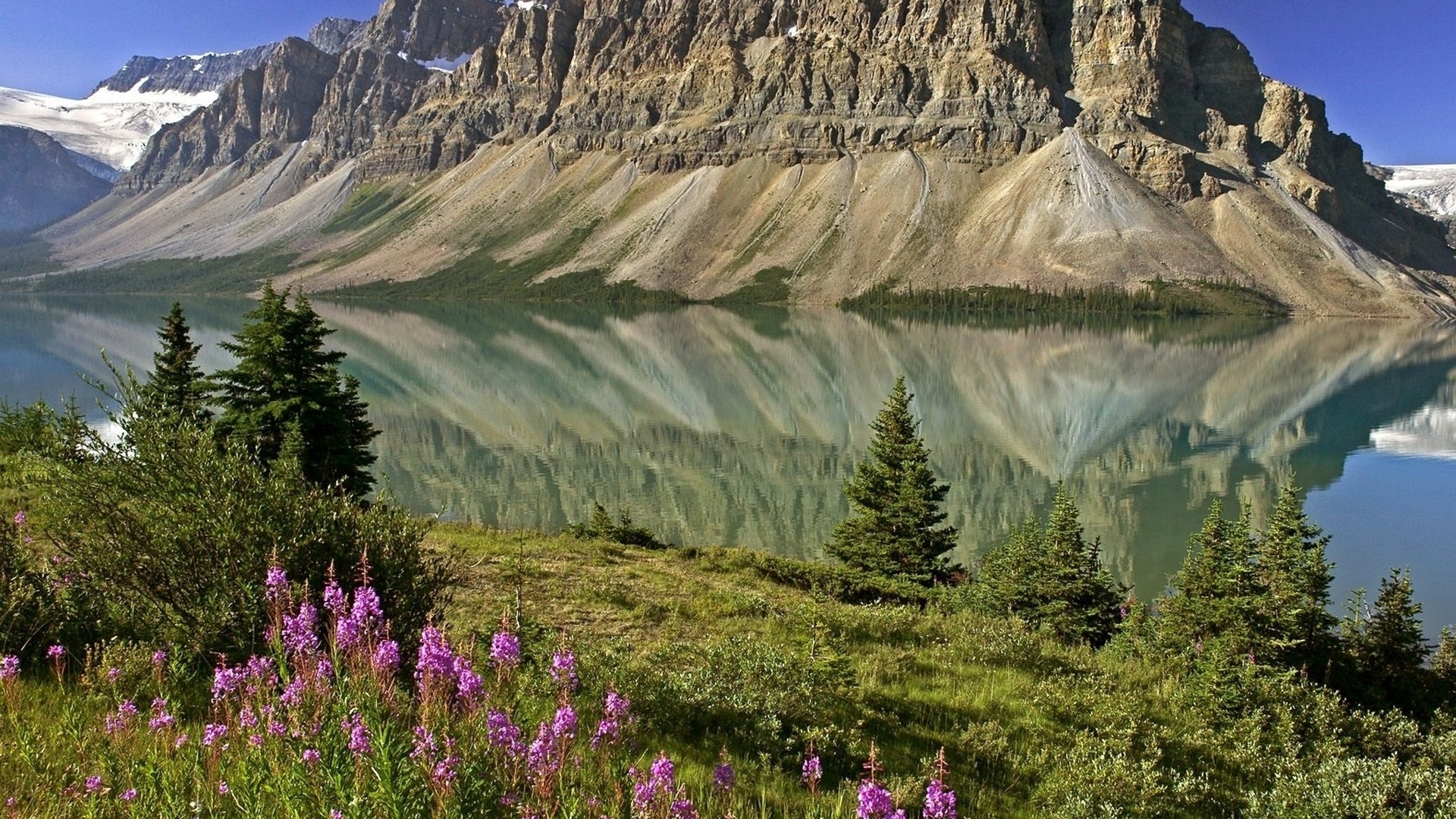 bow lake, banff national park, alberta, canada,  , , 