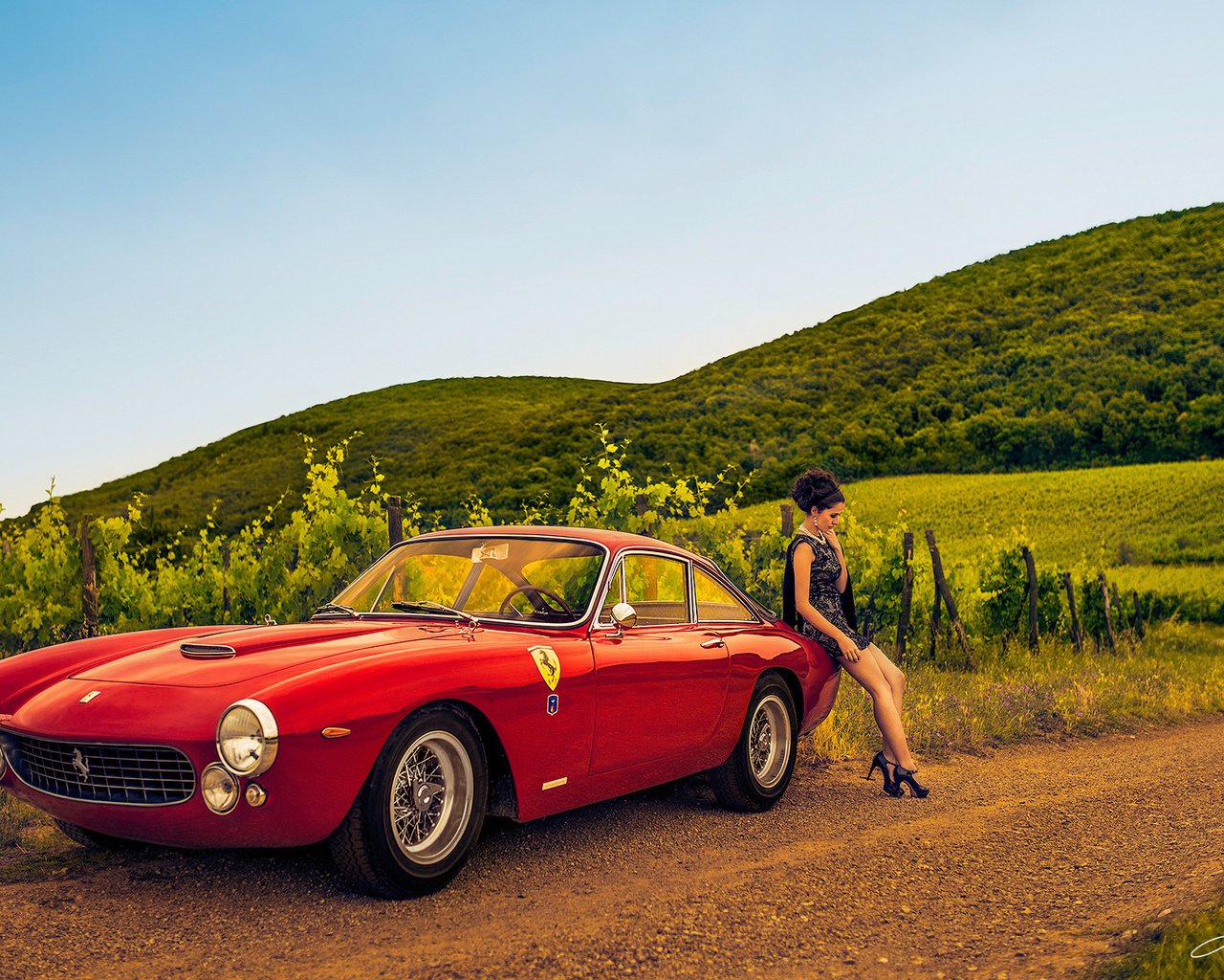 , , ferrari 250, 