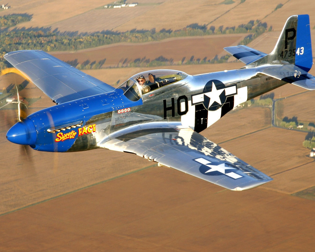 mustang, north american p-51, club, historical, military, american, the plane