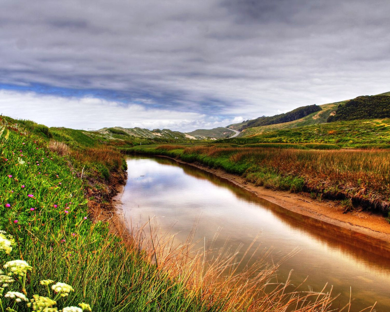 flower, river, grass, fields