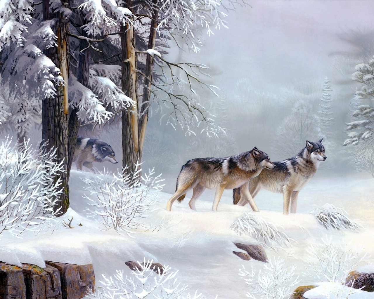 wolves, winter, snow, wild