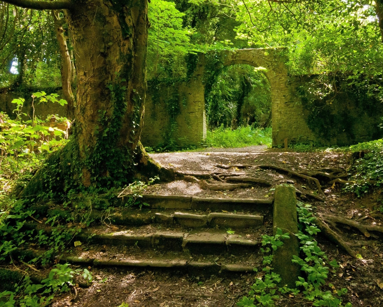 ruin, nature, stair, tree, green