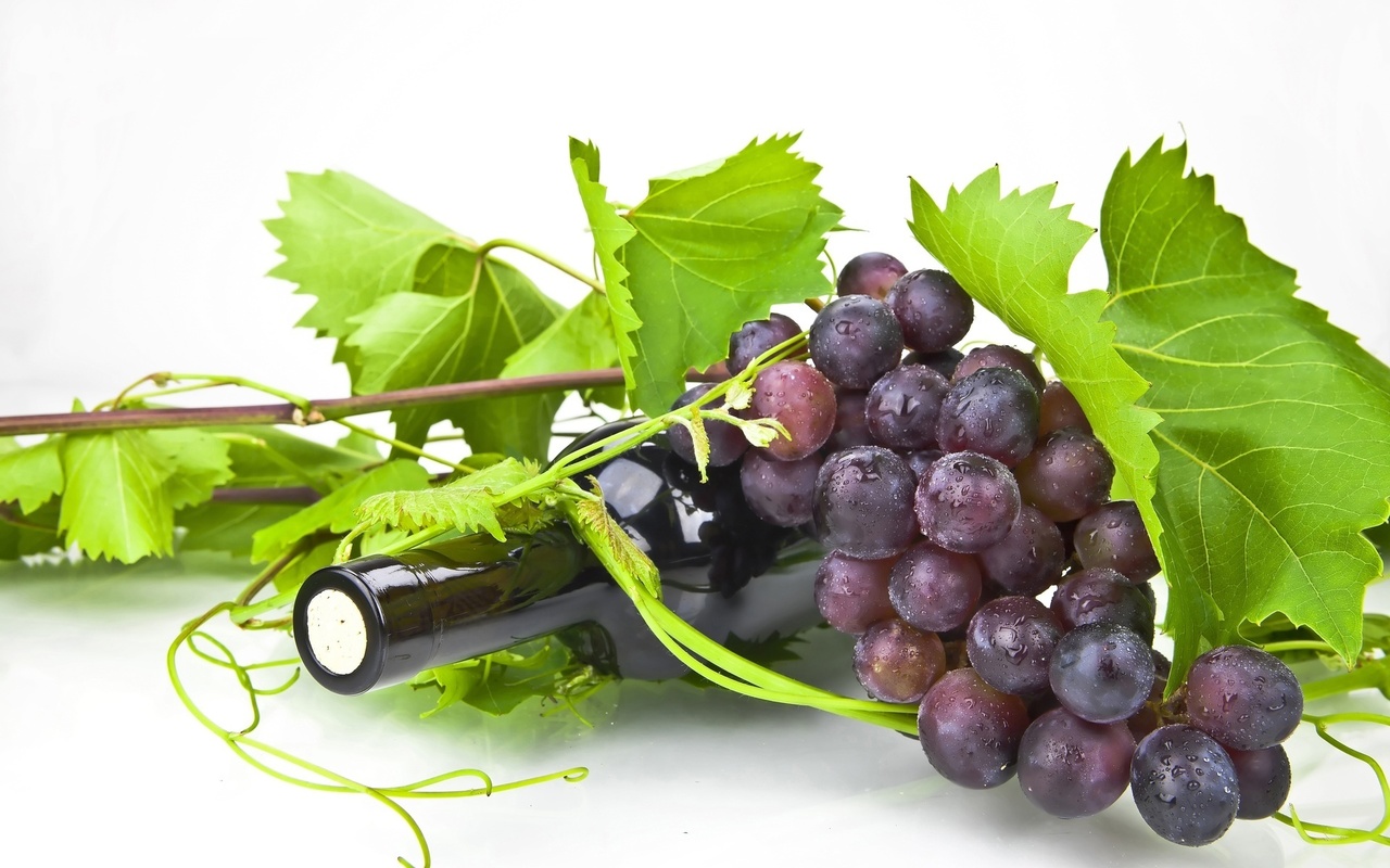 grape, branch, fruit, natural