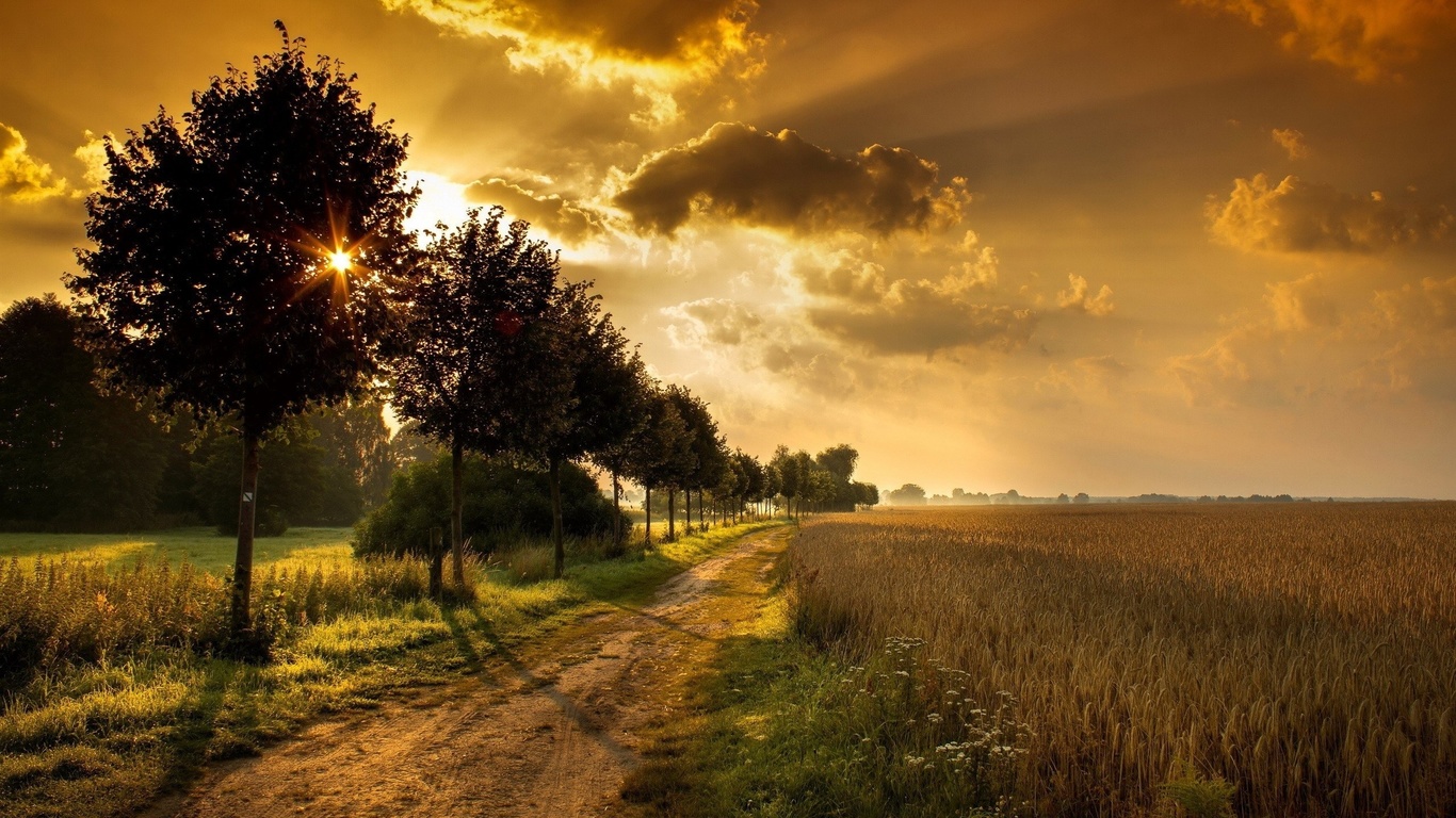 sunrise, landscapes, , , nature, ,  , fields, trees, , sad, 