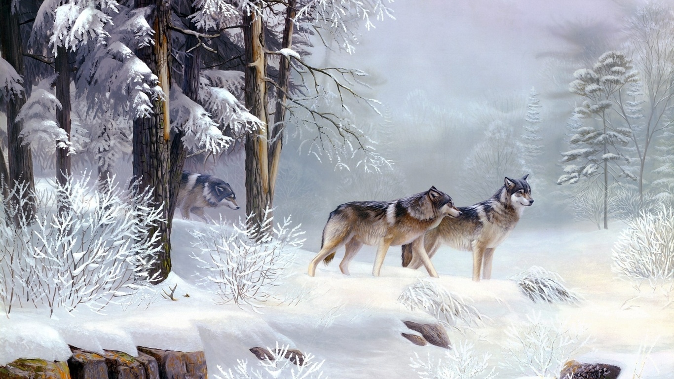 wolves, winter, snow, wild