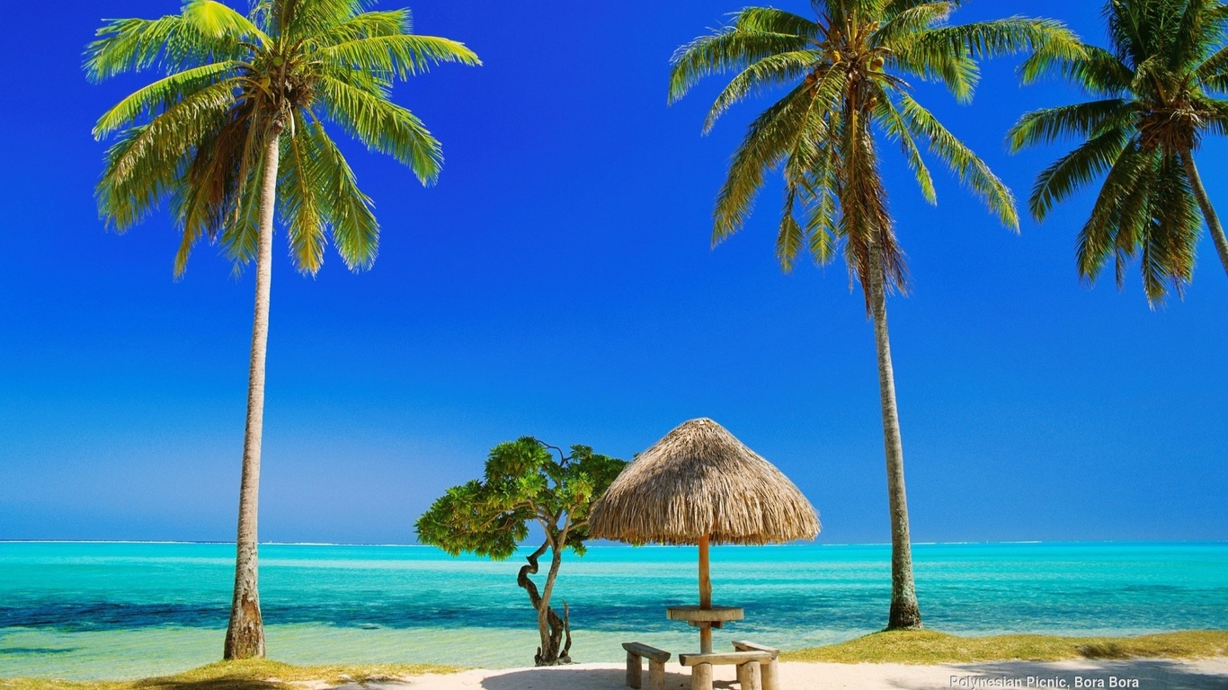 tropical, beach, tree, ocean, palm, sand