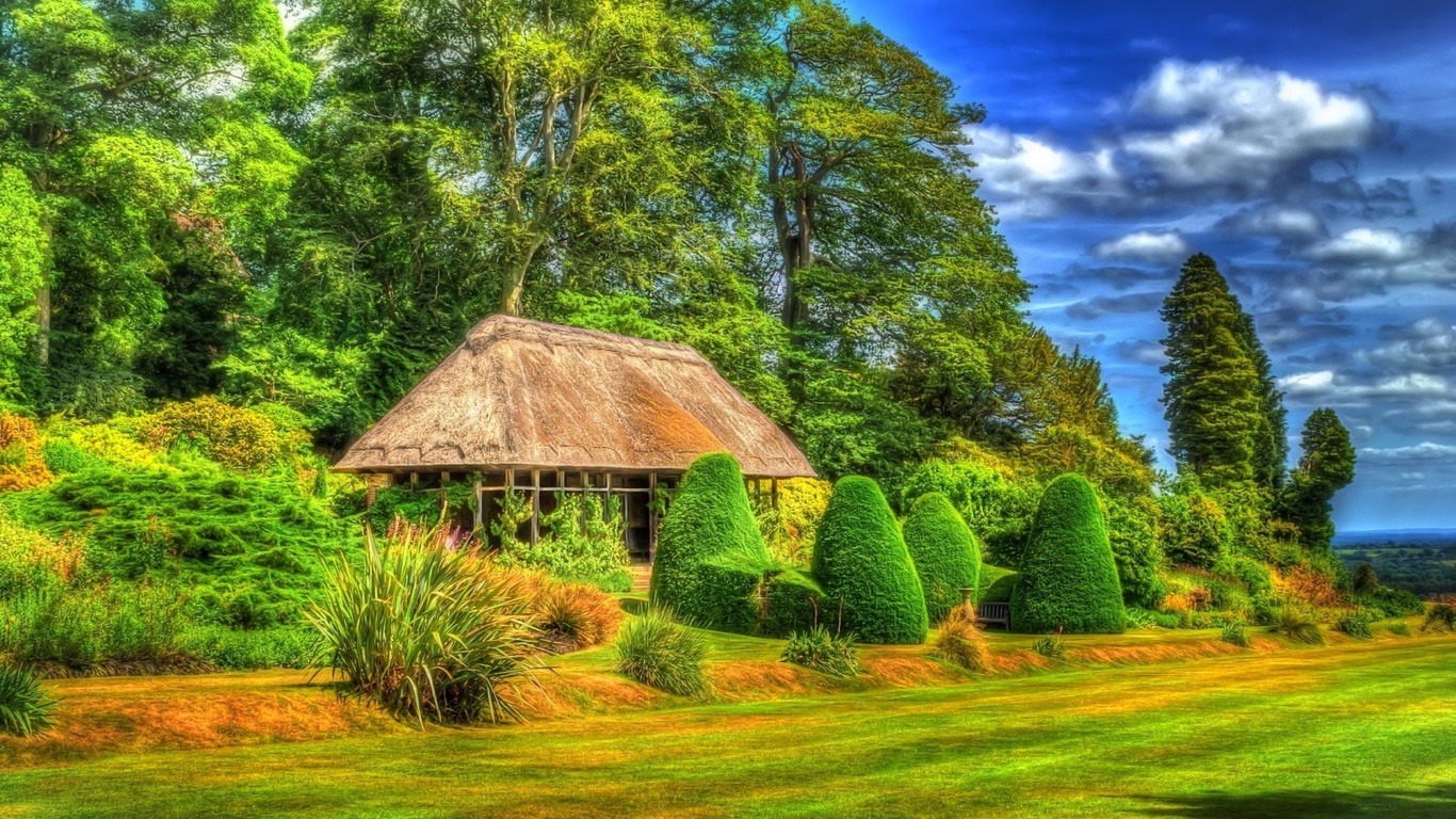 garden, grass, tree, paradise