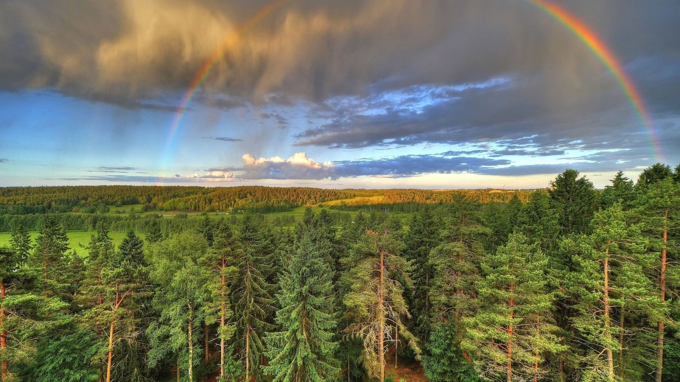 rainbow, sky, clouds, fields, plants