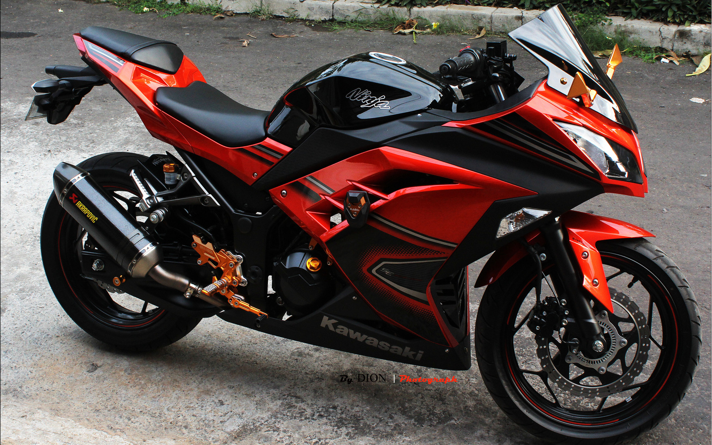 kawasaki, ninja 300, black and gold, 