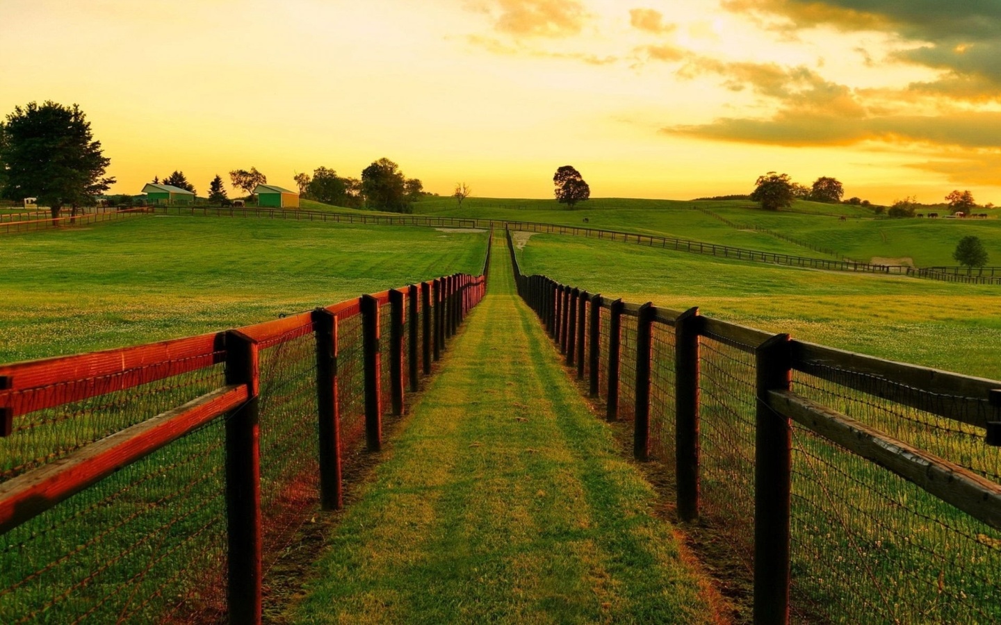 landscape, grass, fence, tree, green