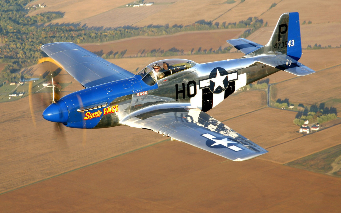 mustang, north american p-51, club, historical, military, american, the plane