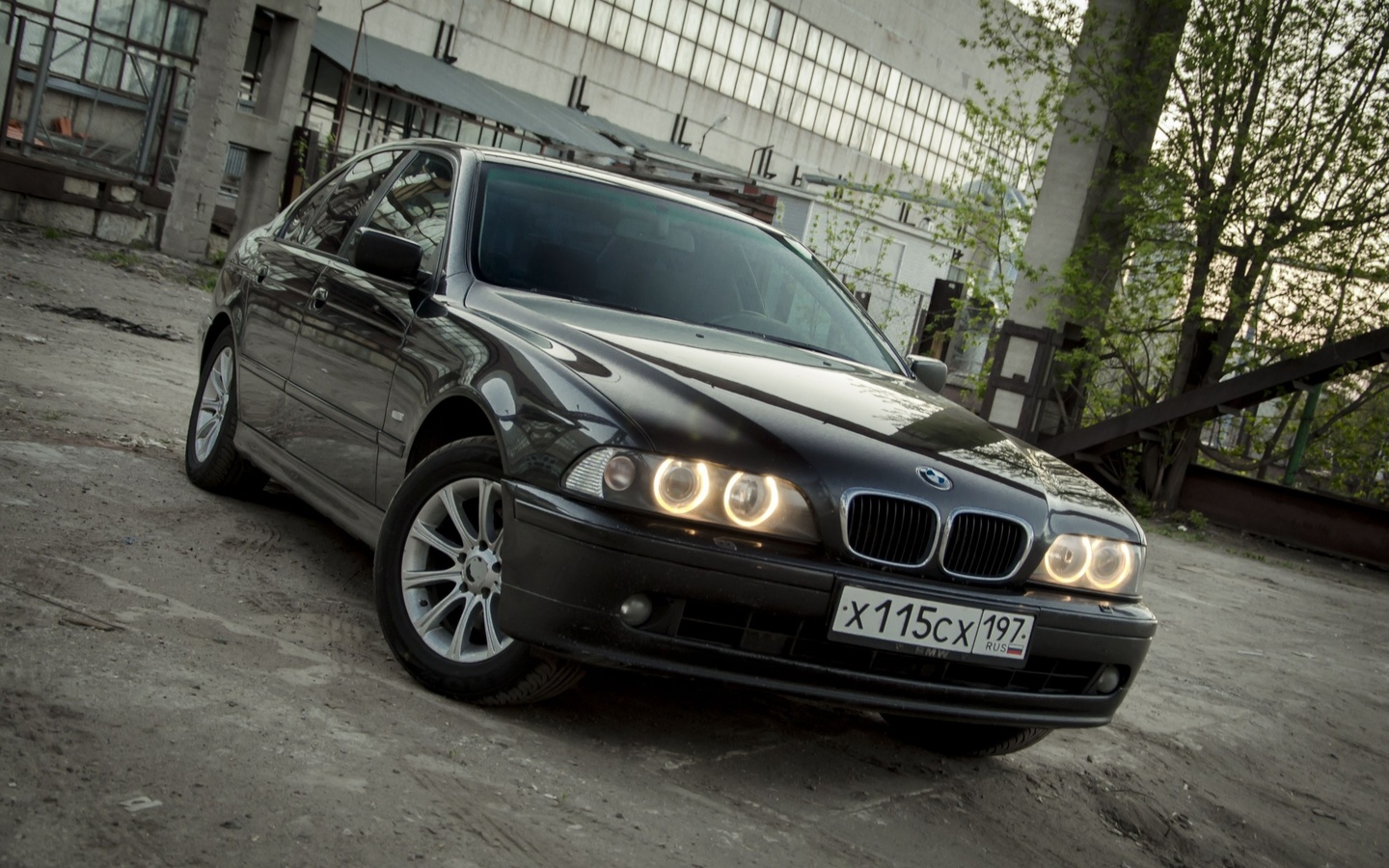 bmw, e39, , ,  