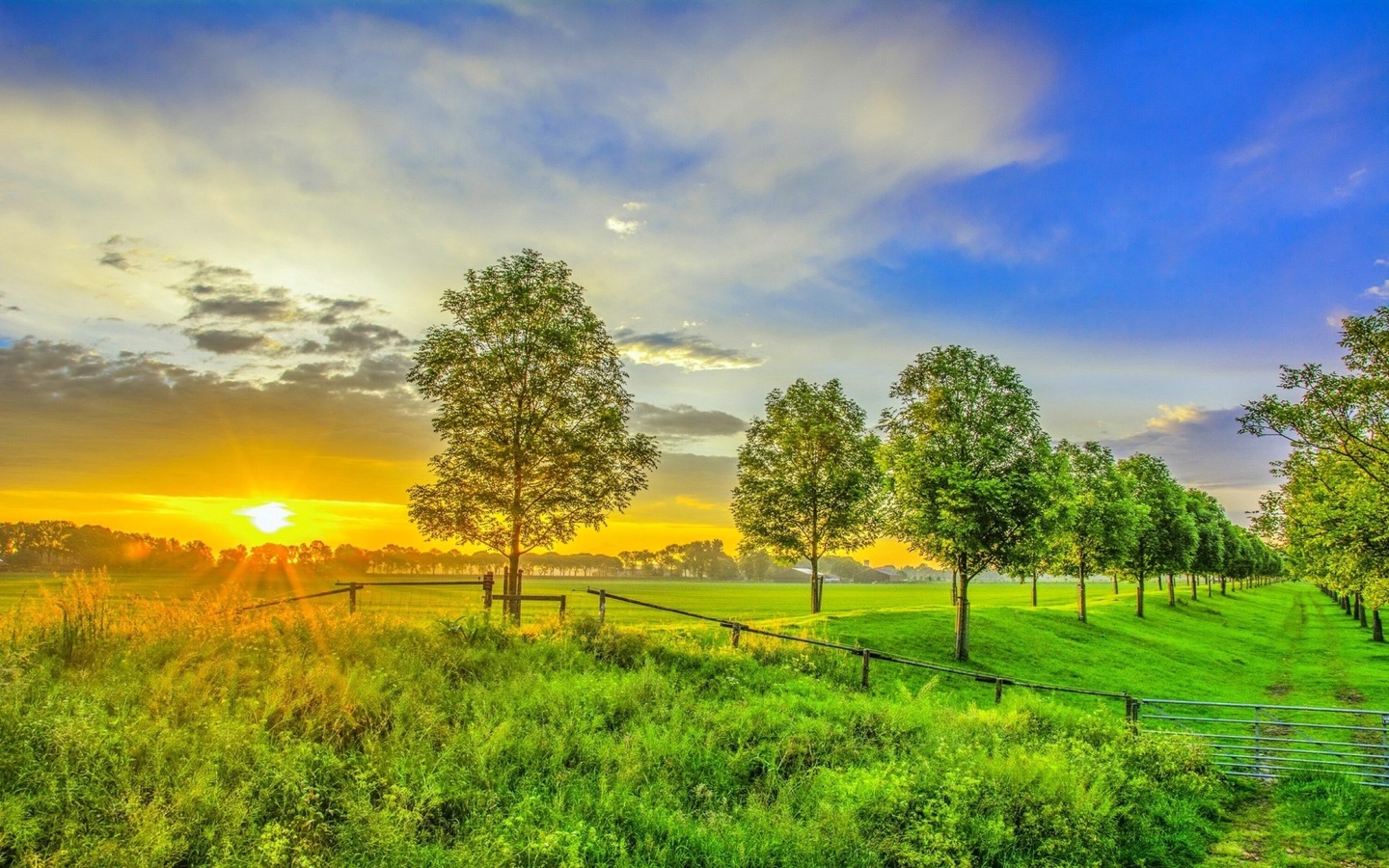 sunset, sunlight, grass, land