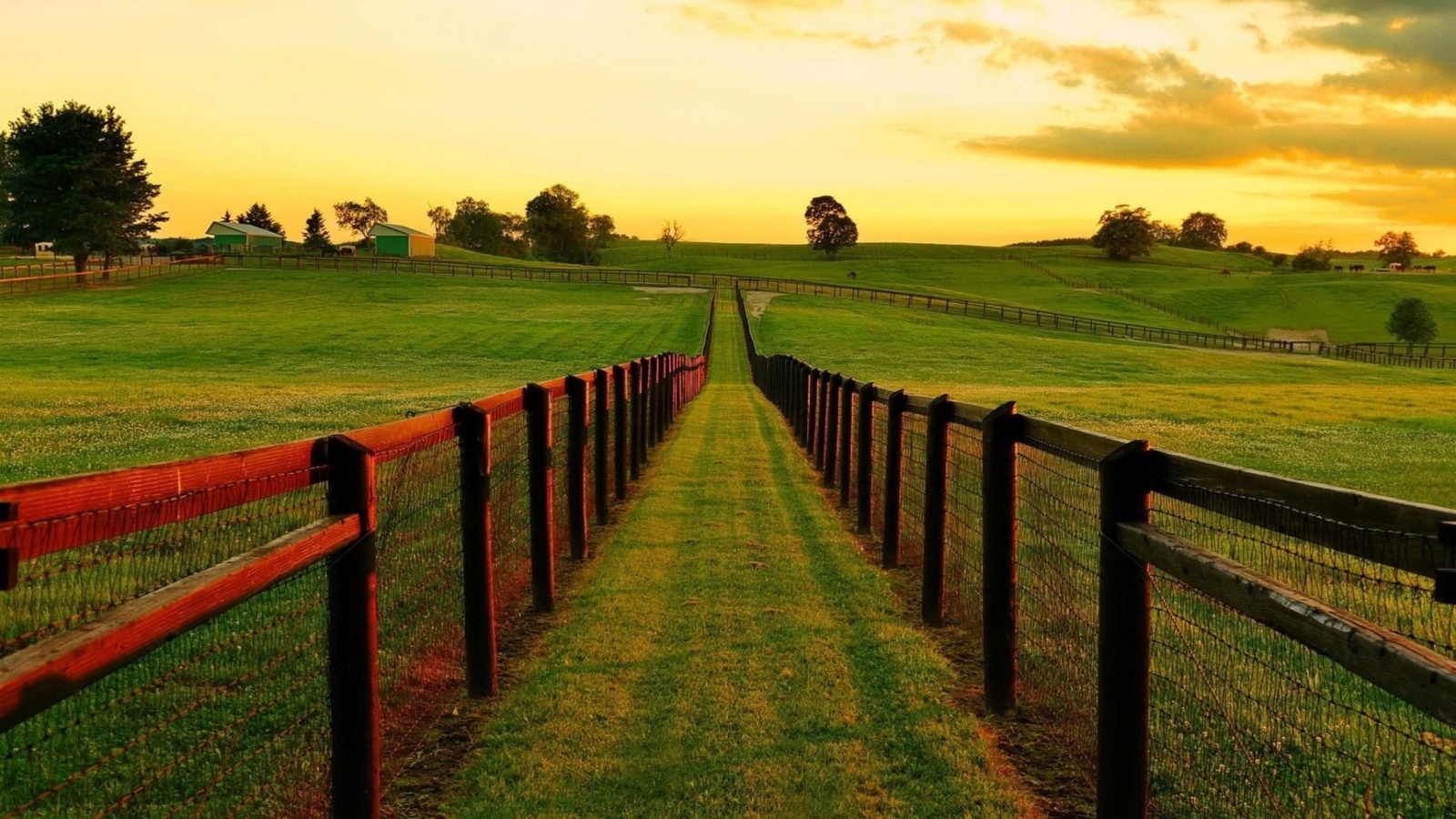 landscape, grass, fence, tree, green