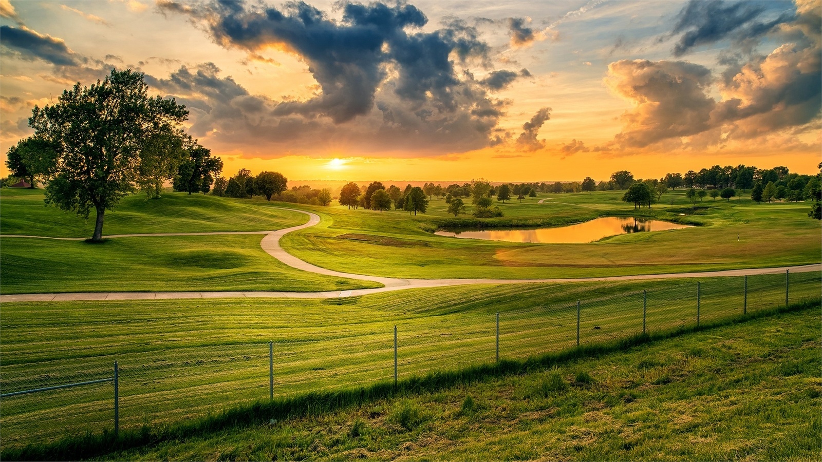 scenery, fields, grass, path, clouds