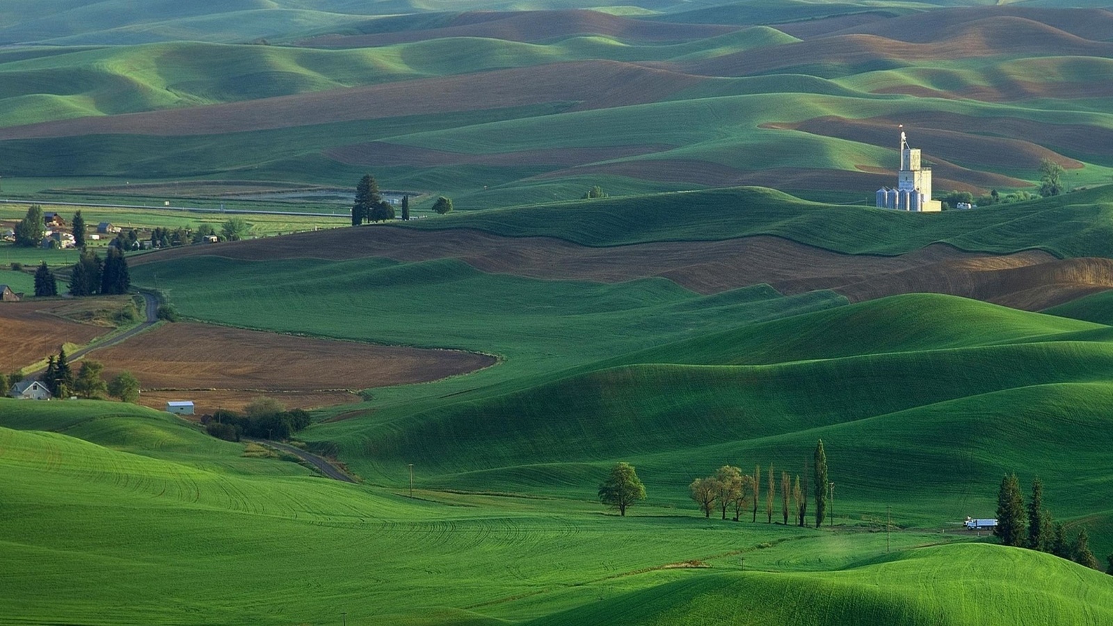 fields, grass, tree, green