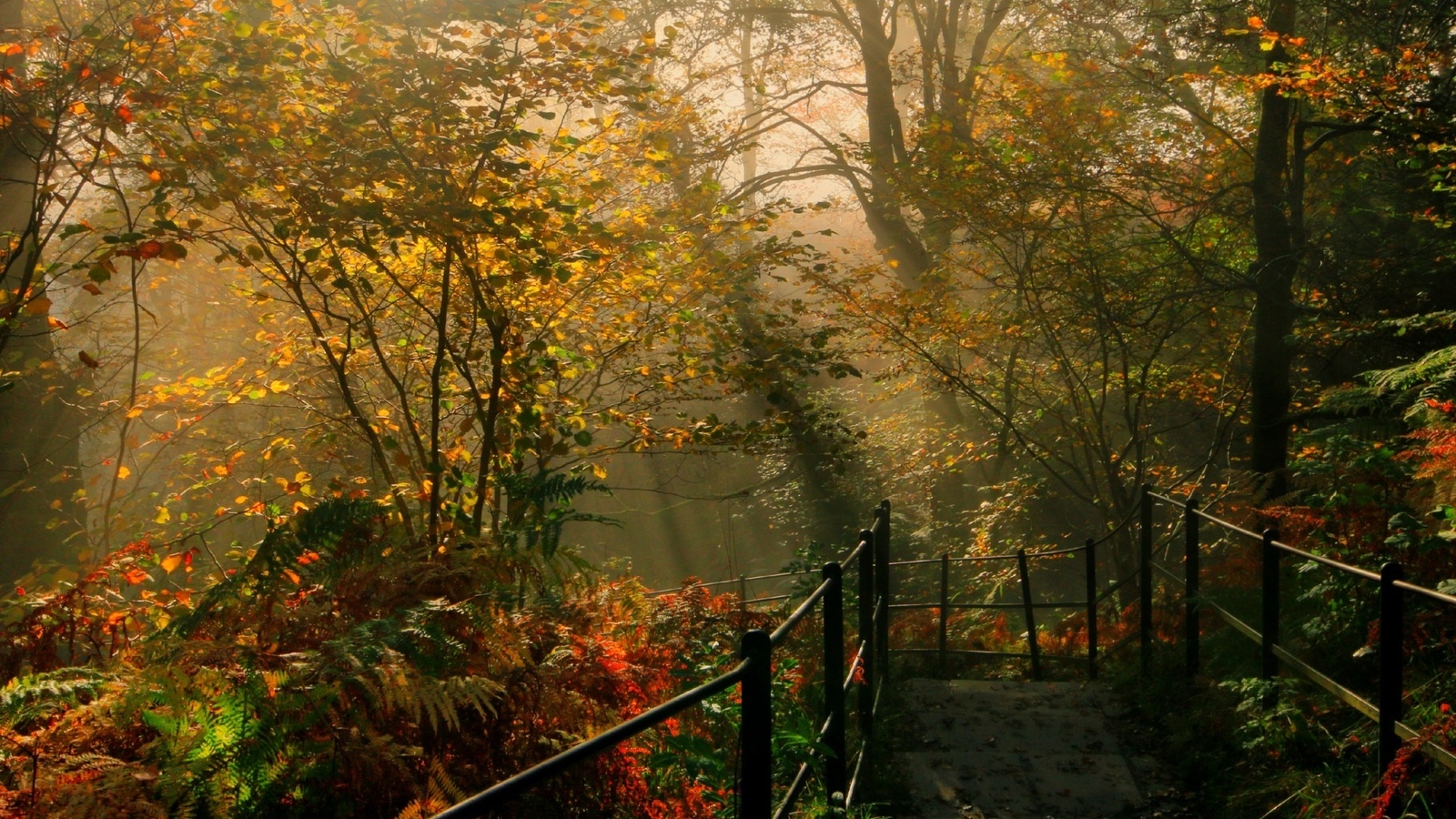 england, parks, tree, bridge