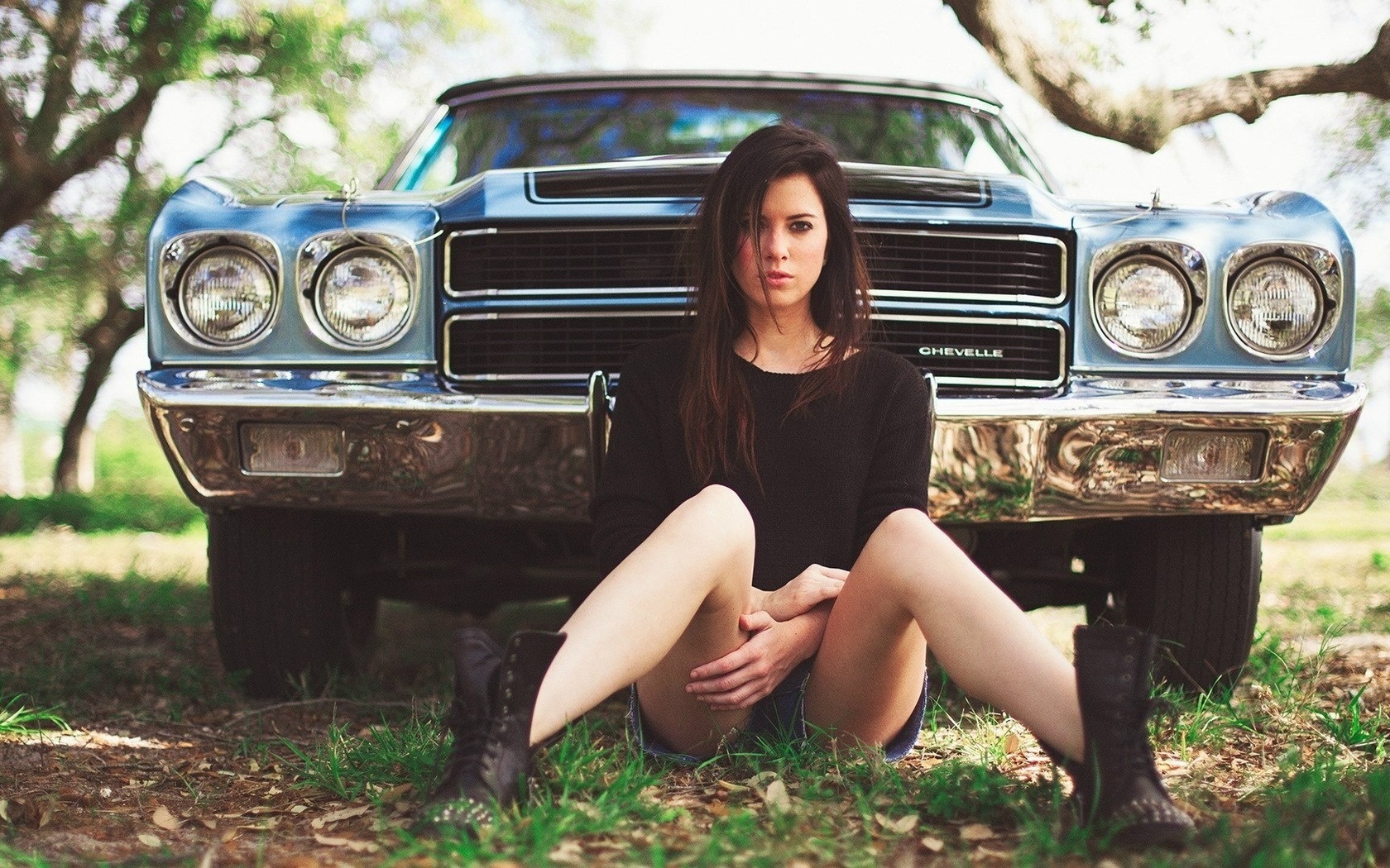 , , , , , , chevrolet, chevelle