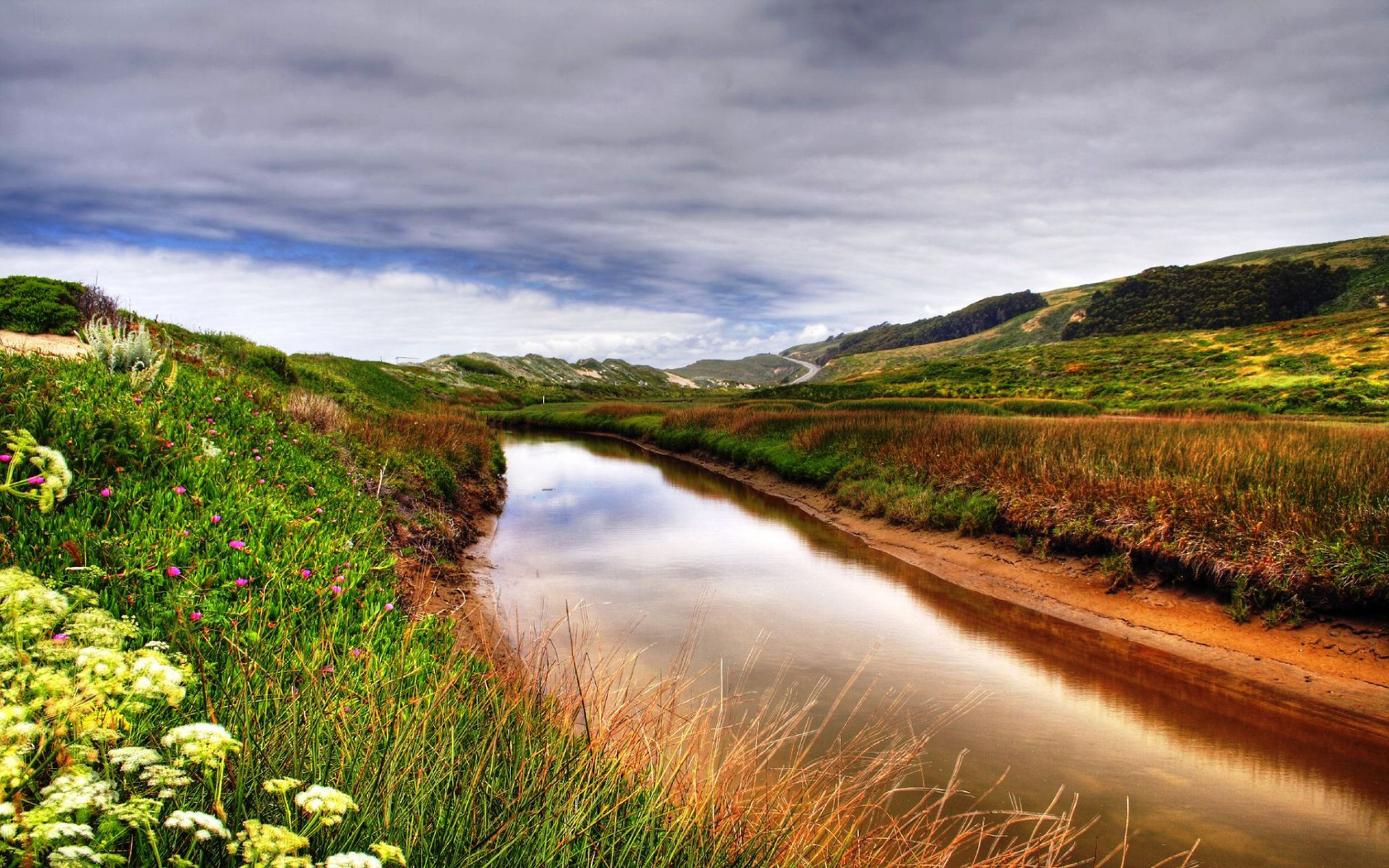 flower, river, grass, fields