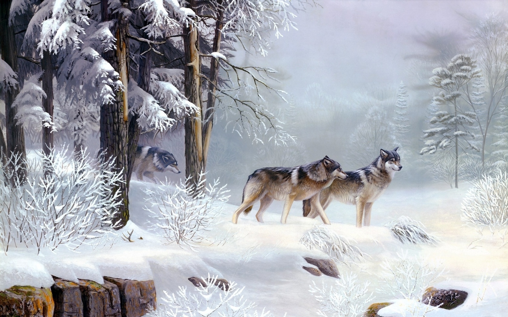 wolves, winter, snow, wild