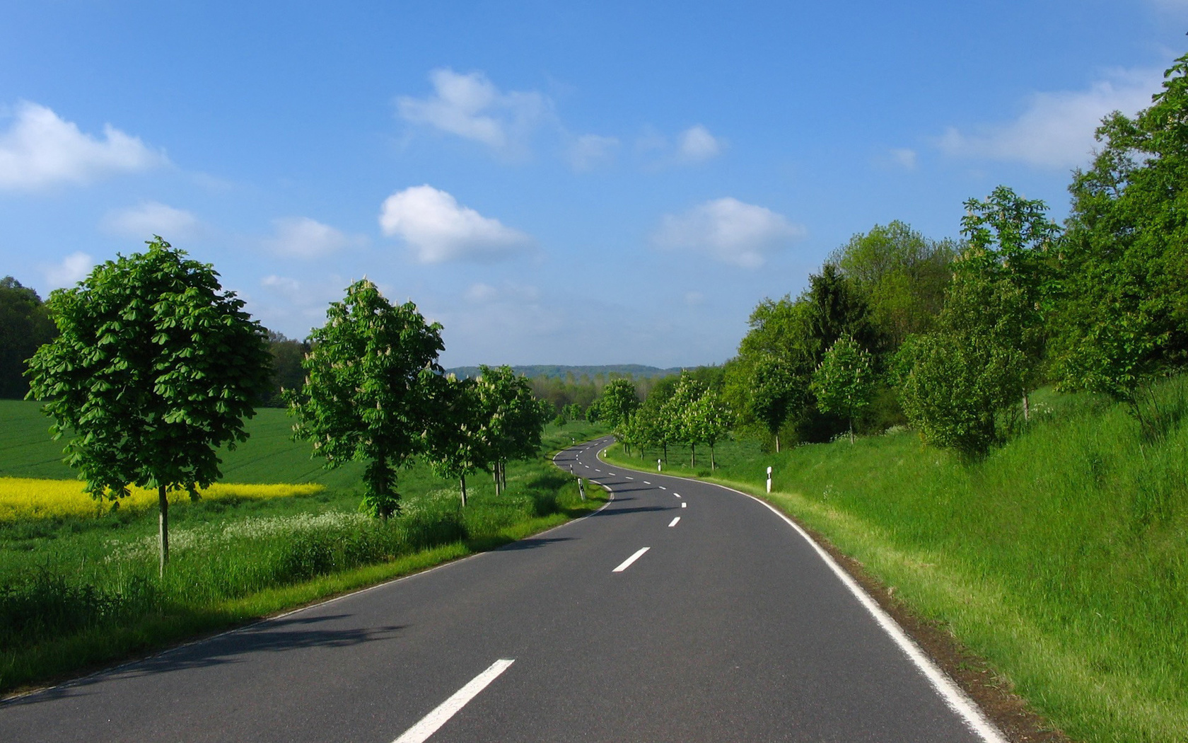 road, tree, green, fields