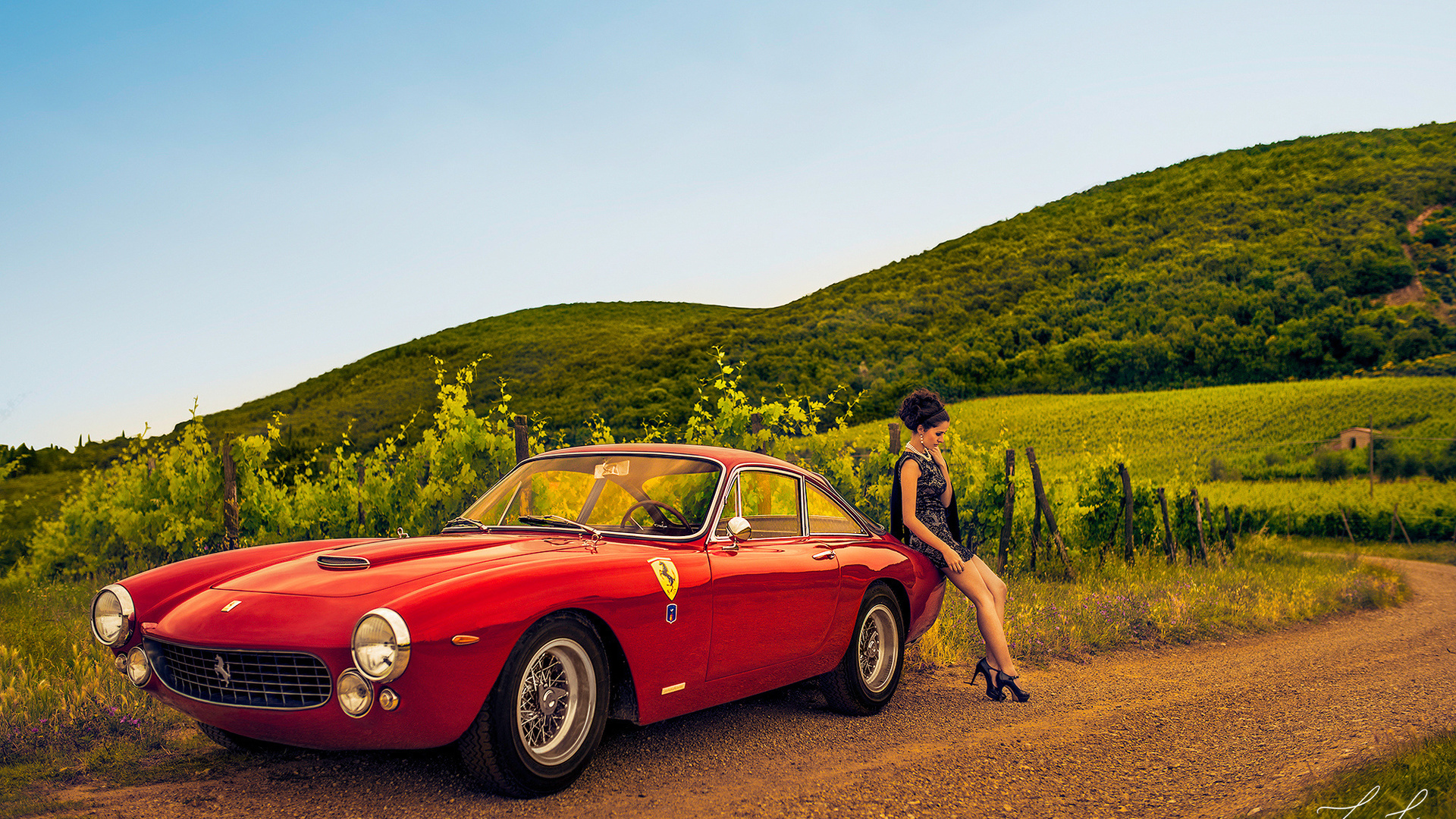 , , ferrari 250, 