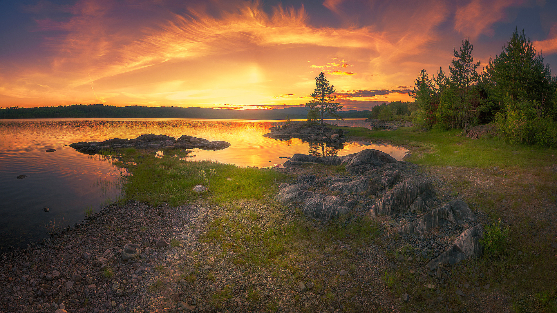 , , , , , , , ,ole henrik skjelstad