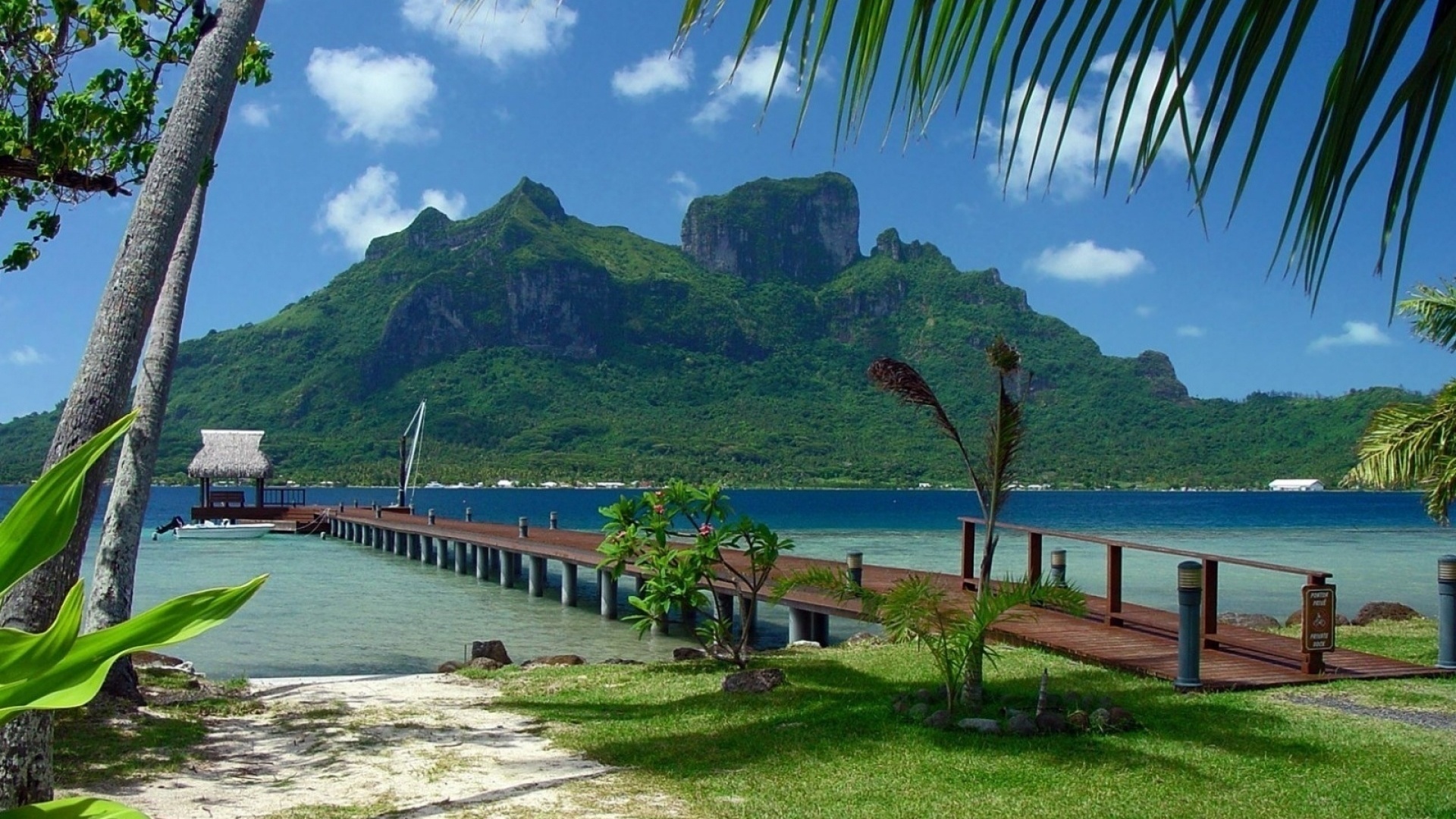 ocean, sand, palm, water, mountain, sea