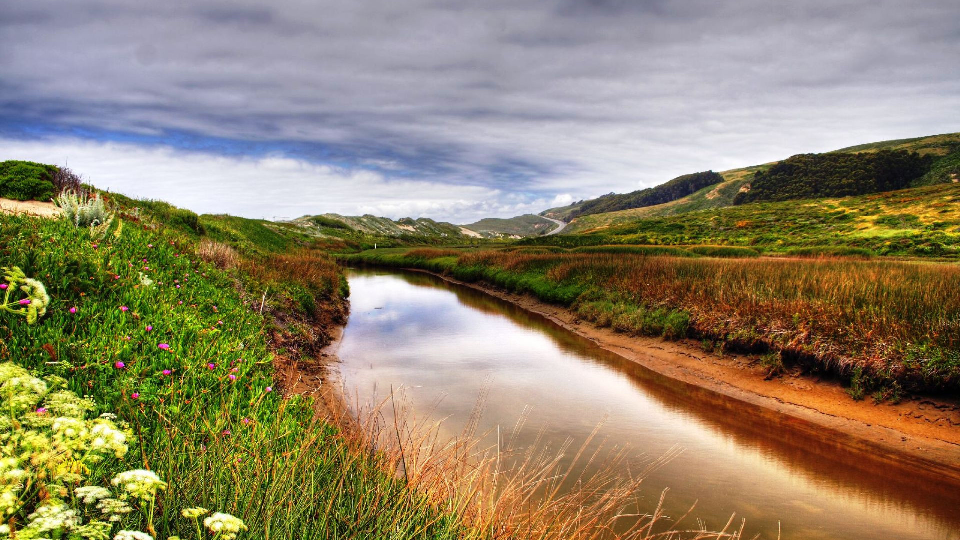 flower, river, grass, fields