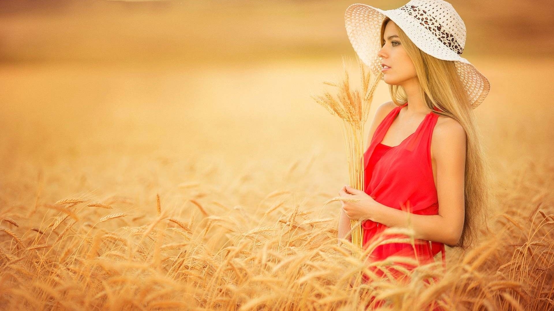 Картинки девушка блондинка позирует поле пшеница шляпка обои