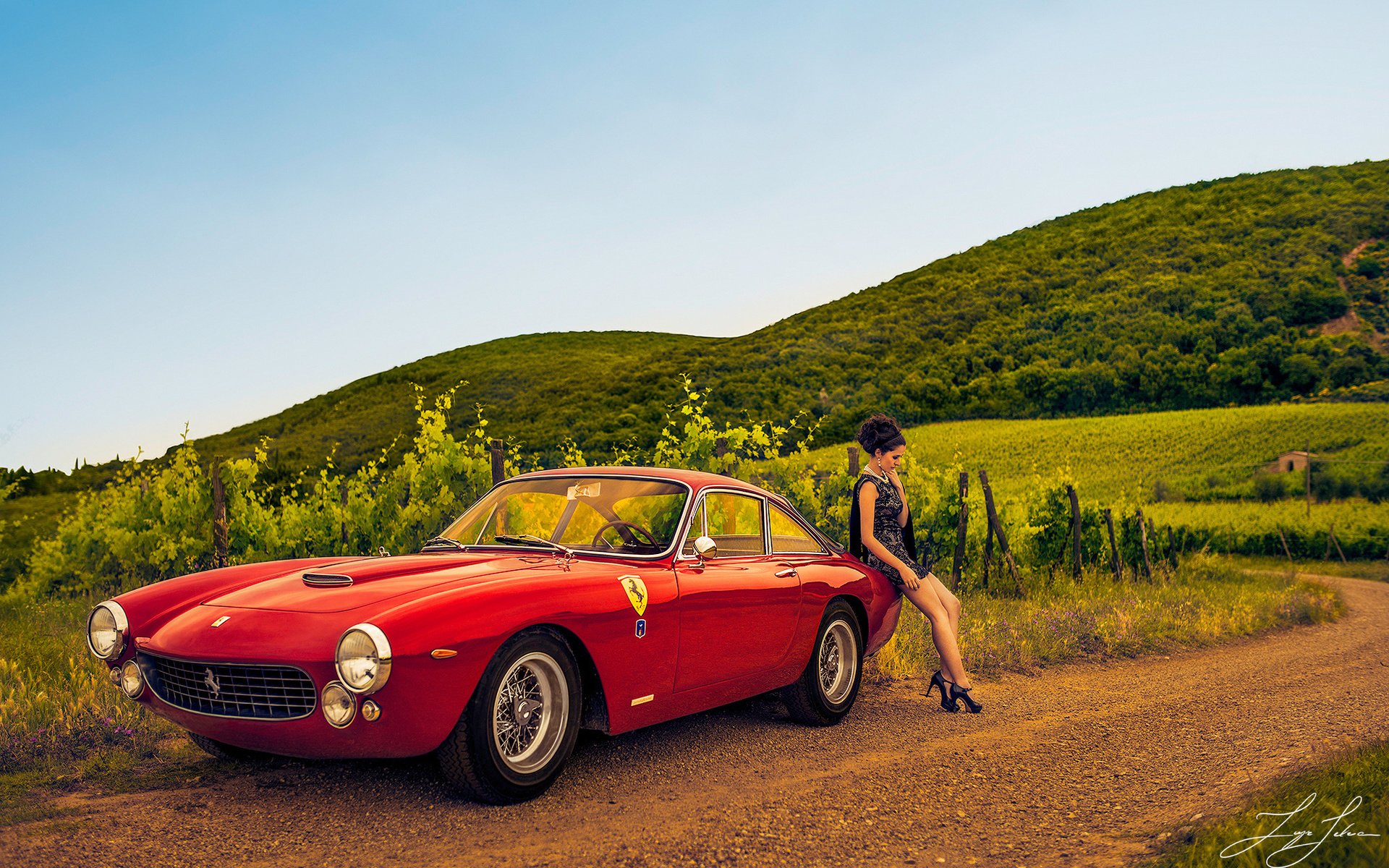 , , ferrari 250, 