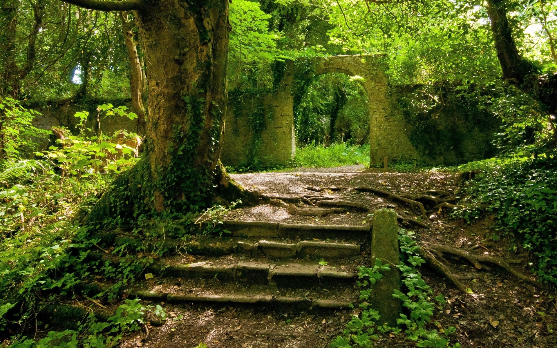 ruin, nature, stair, tree, green